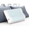Giselle Bedding Set Of 2 Cool Gell Memory Foam Pillows