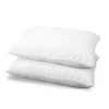 Giselle Bedding Set Of 2 Visco Elastic Memory Foam Pillows