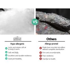 Giselle Queen Mattress Topper Pillowtop 1000GSM Microfibre Filling Protector -Furniture Shop TOPPER PT Q 02