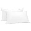 Duck Down Feather Pillow Twin Set – 1.3kg -Furniture Shop rcdd pill 2