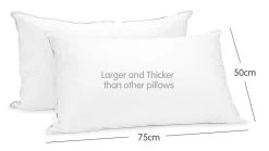 Duck Down Feather Pillow Twin Set – 1.3kg 12 Duck Down Feather Pillow Twin Set – 1.3kg -Furniture Shop rcdd pill f3