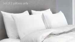Duck Down Feather Pillow Twin Set – 1.3kg 13 Duck Down Feather Pillow Twin Set – 1.3kg -Furniture Shop rcdd pill f4