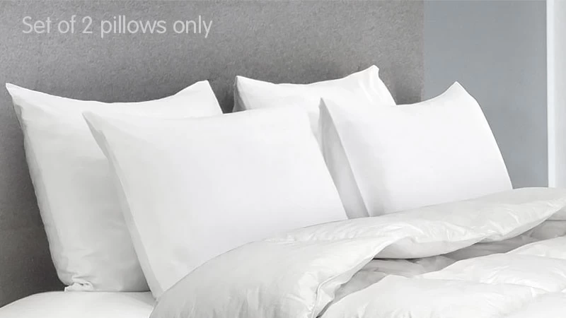 Duck Down Feather Pillow Twin Set – 1.3kg 8 Duck Down Feather Pillow Twin Set – 1.3kg - Image 6
